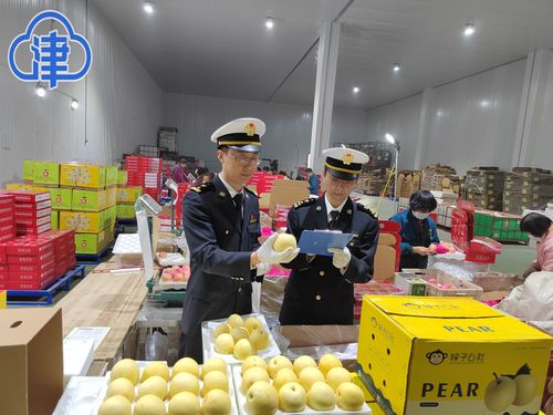 為企業解難題暢通路，天津新港海關助力特色農產品擴大出口