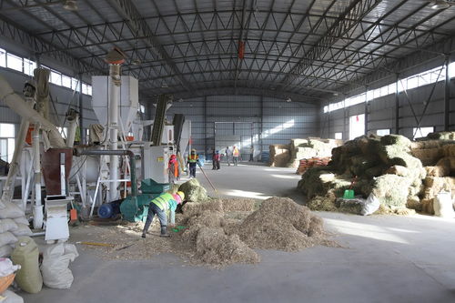 肅南皇城鎮(zhèn)河西村 飼草料加工廠里的溫暖生產(chǎn)線，守護草原初級食用農(nóng)產(chǎn)品