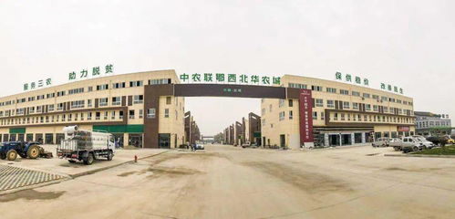 中沃建筑承建的中農聯皖東南（涇縣）農產品批發市場開工典禮圓滿落幕